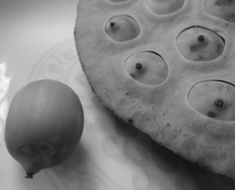 lotus seed