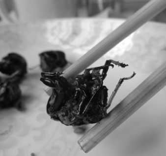 fried insects, fried cicada