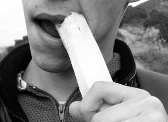 man eating a sugar cane