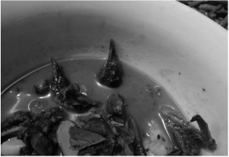 swallow stew